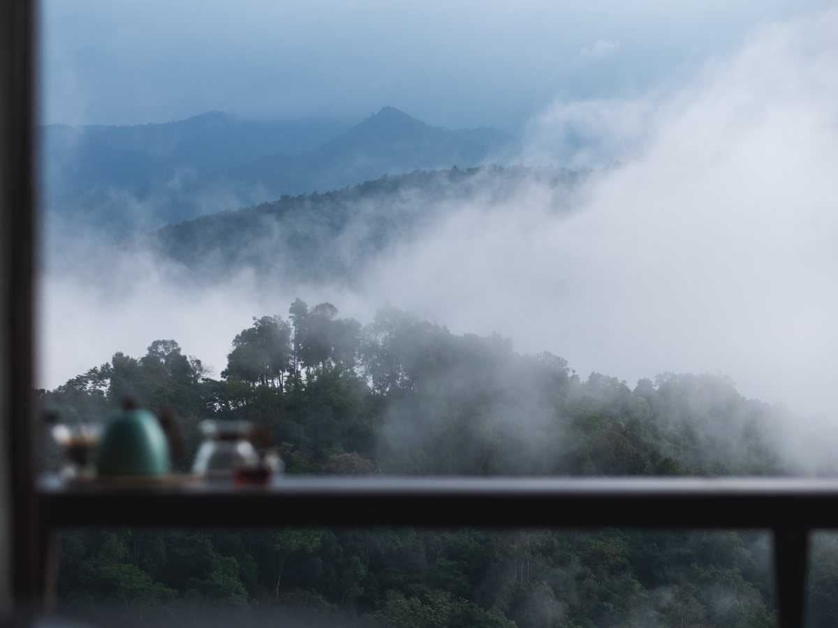 Vista de montañas con niebla desde la terraza de un hotel en el bosque